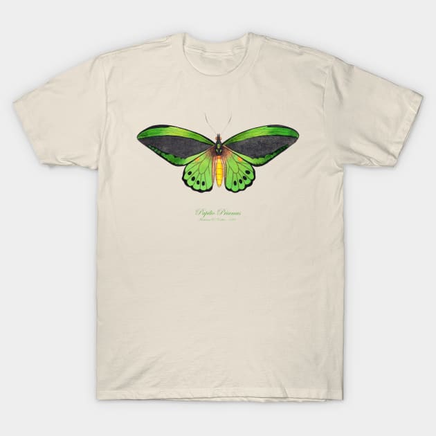 Butterfly - Common Green Birdwing, Priam's Birdwing or Northern Birdwing, Cape York Birdwing aka Papilio Priamus or Ornithoptera Priamus T-Shirt by SPJE Illustration Photography